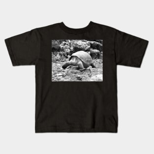 vintage photo of galapagos tortoise Kids T-Shirt